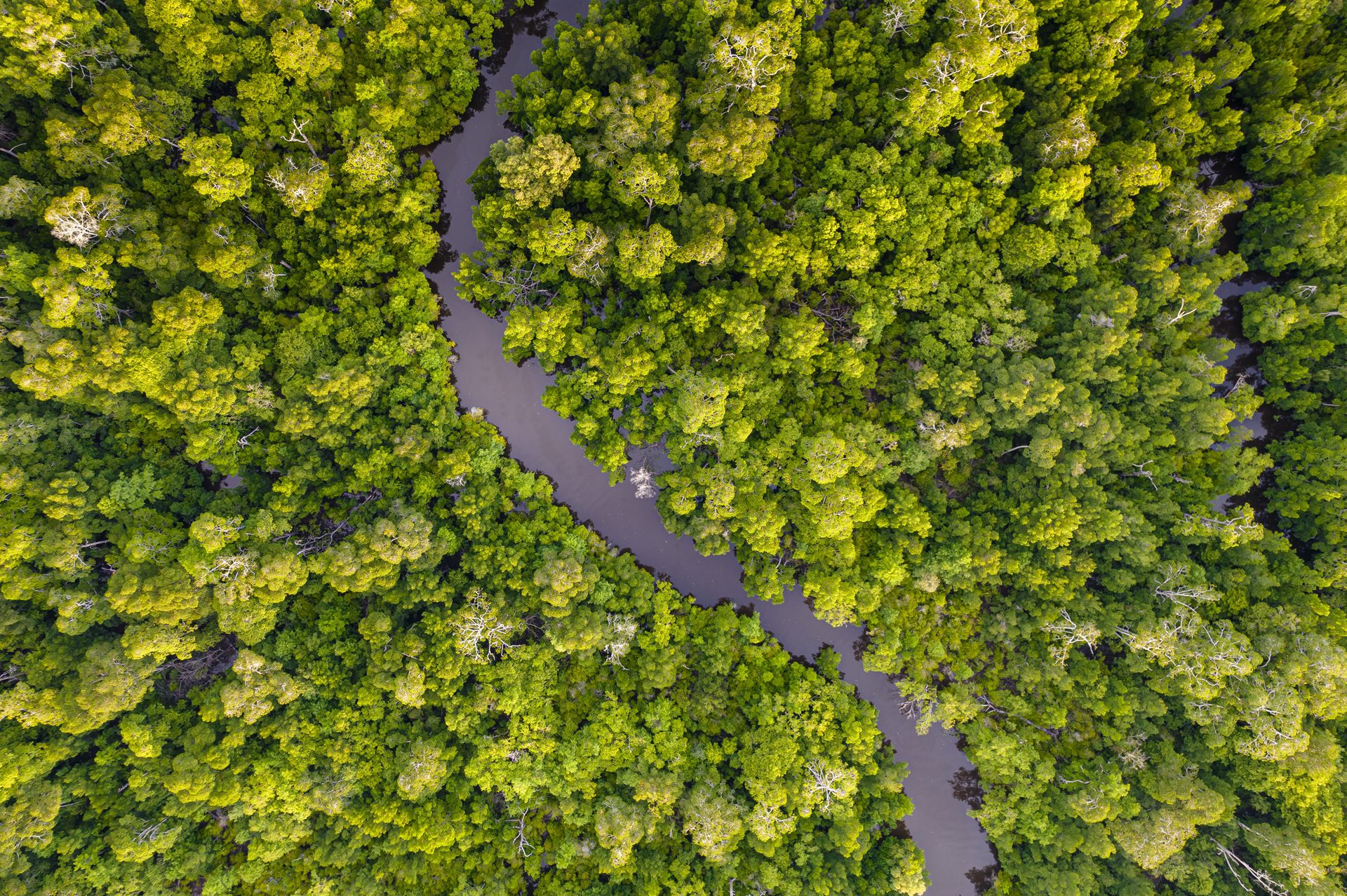 Komunitas Lokal & Biodiversitas